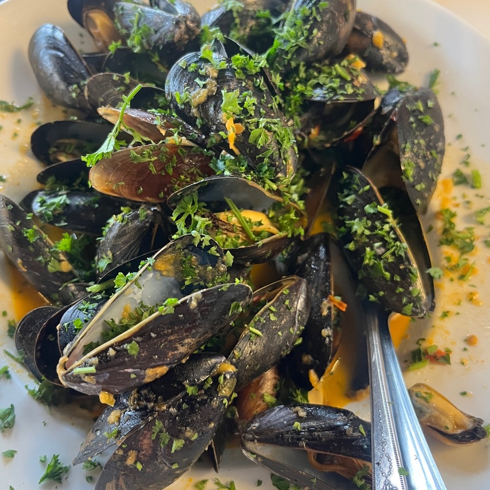 (1) ONE MUSSEL IN WHITE WINE CREAM SAUCE